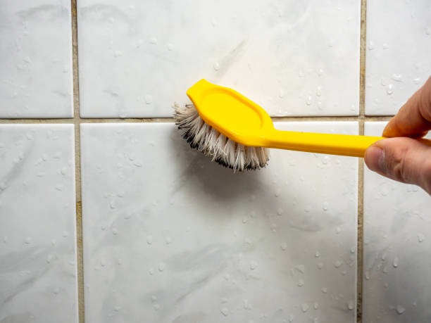 Best Mold Removal and Inspection  in Bentonville, AR