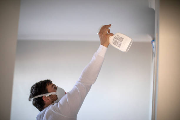 Best Mold Removal Near Me  in Bentonville, AR