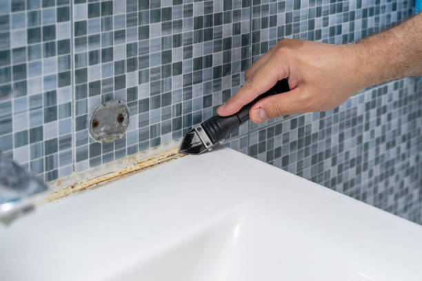 Mold Testing and Removal in Bentonville, AR