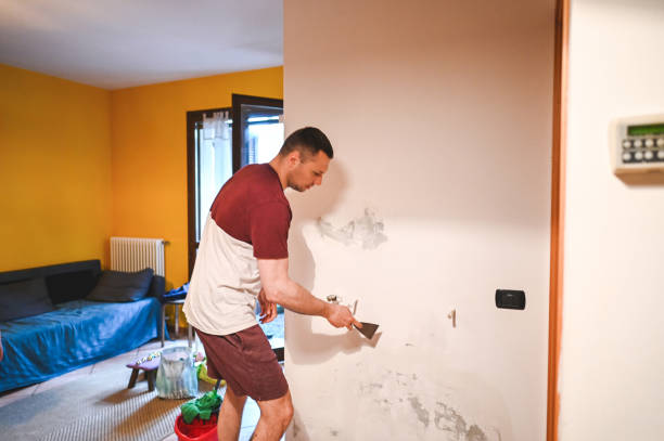 Best Affordable Mold Removal  in Bentonville, AR